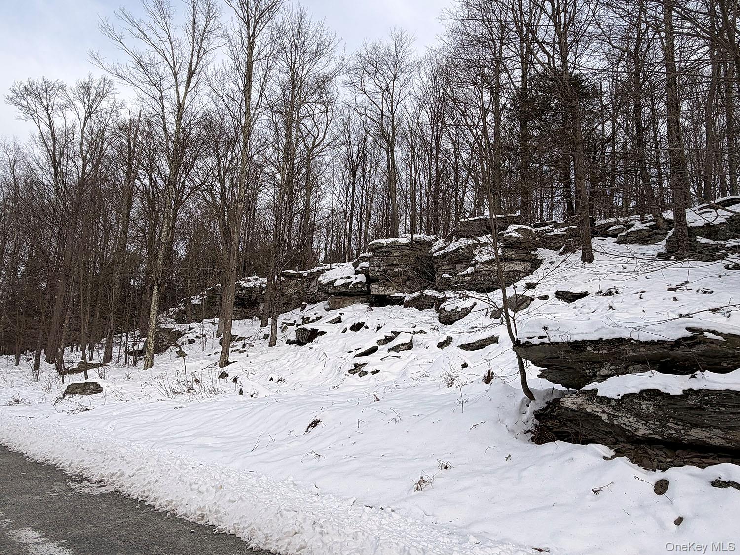 #10 photo, Lot 30 Kenoza Trail, Callicoon , NY 12723