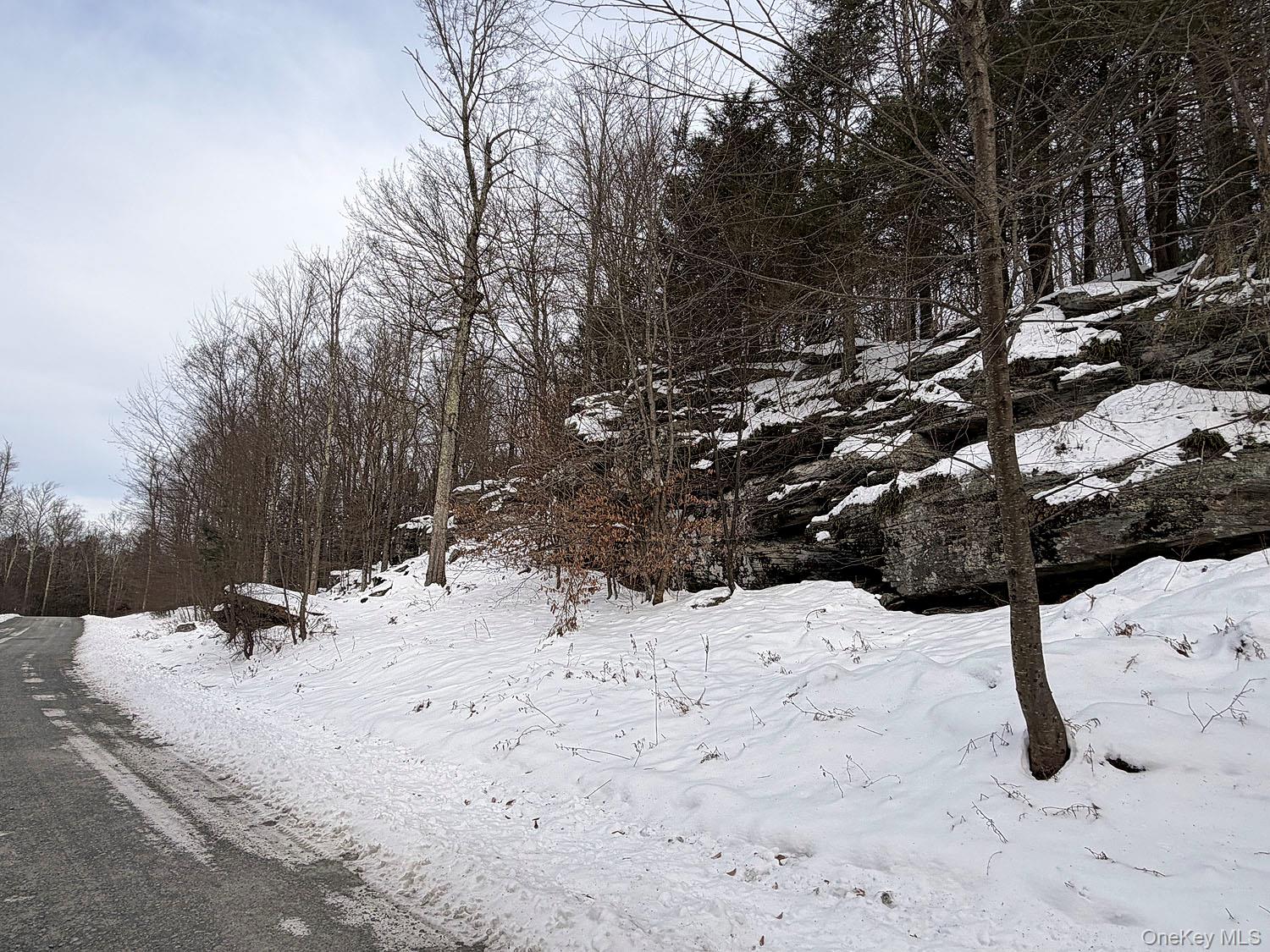 #11 photo, Lot 30 Kenoza Trail, Callicoon , NY 12723