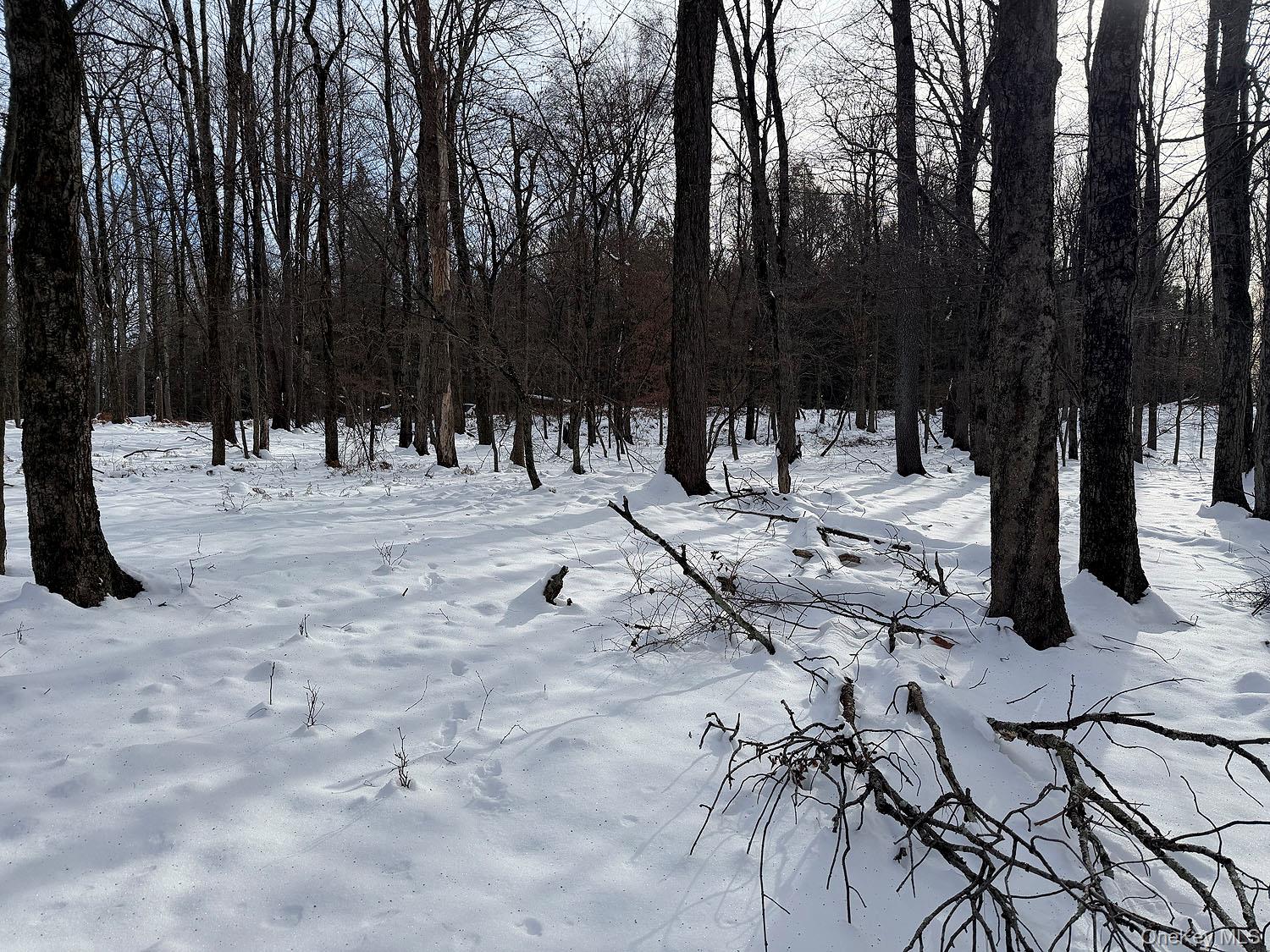 #12 photo, Lot 30 Kenoza Trail, Callicoon , NY 12723