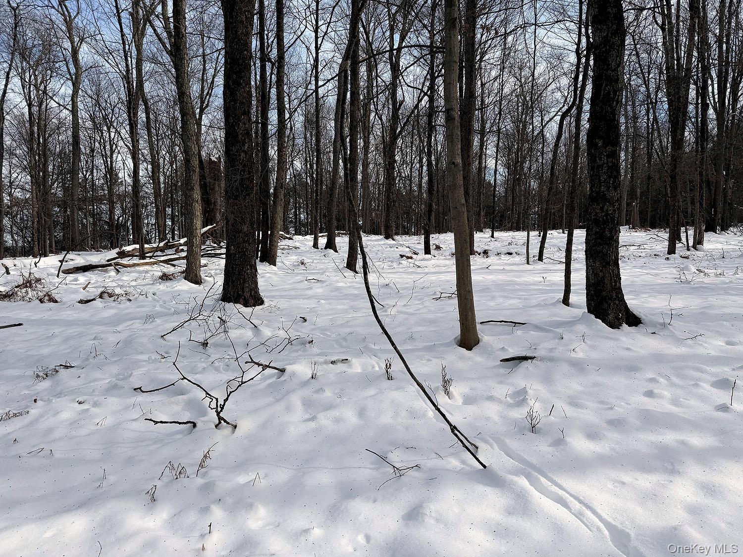 #13 photo, Lot 30 Kenoza Trail, Callicoon , NY 12723