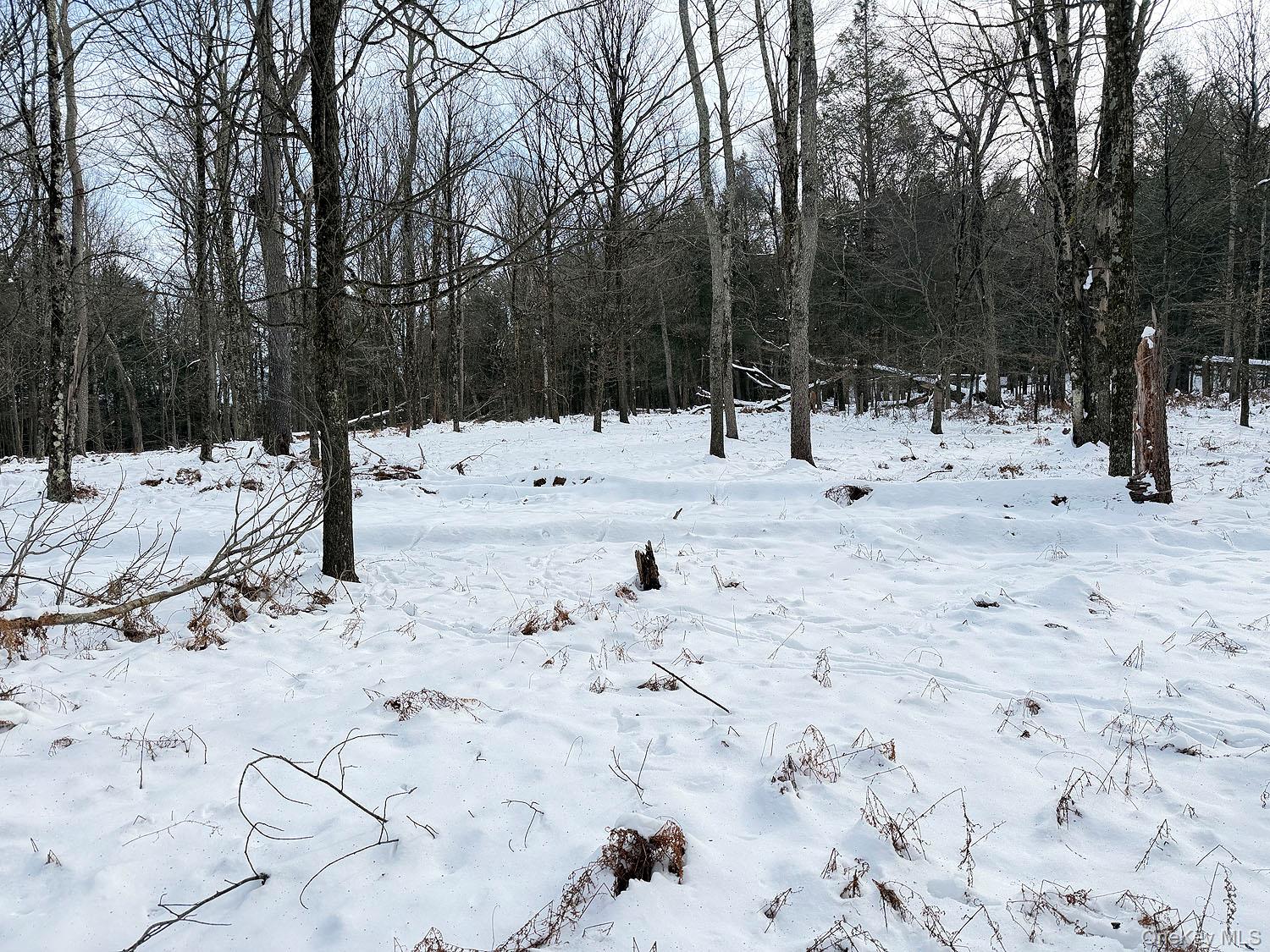 #14 photo, Lot 30 Kenoza Trail, Callicoon , NY 12723