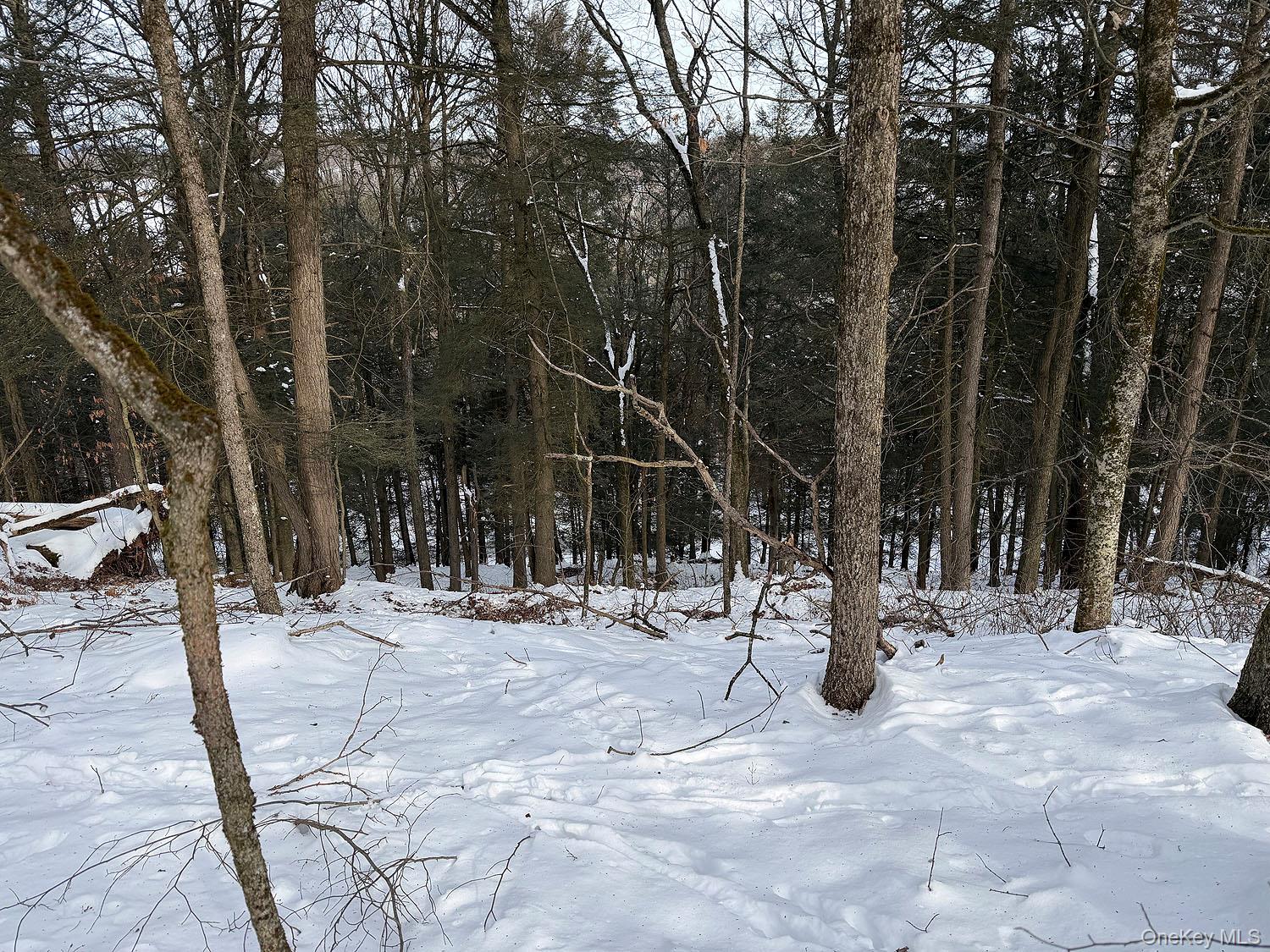 #15 photo, Lot 30 Kenoza Trail, Callicoon , NY 12723