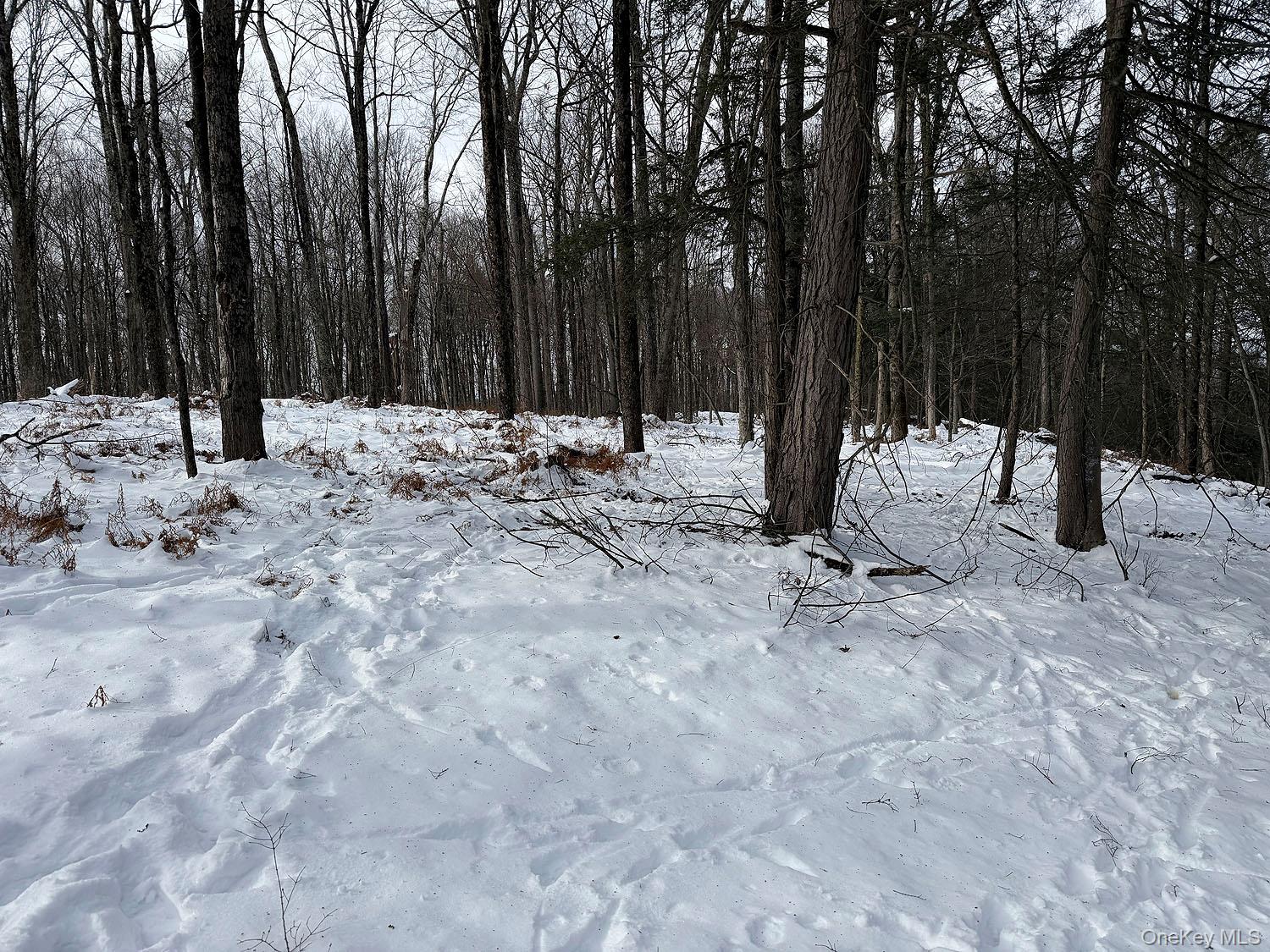 #16 photo, Lot 30 Kenoza Trail, Callicoon , NY 12723