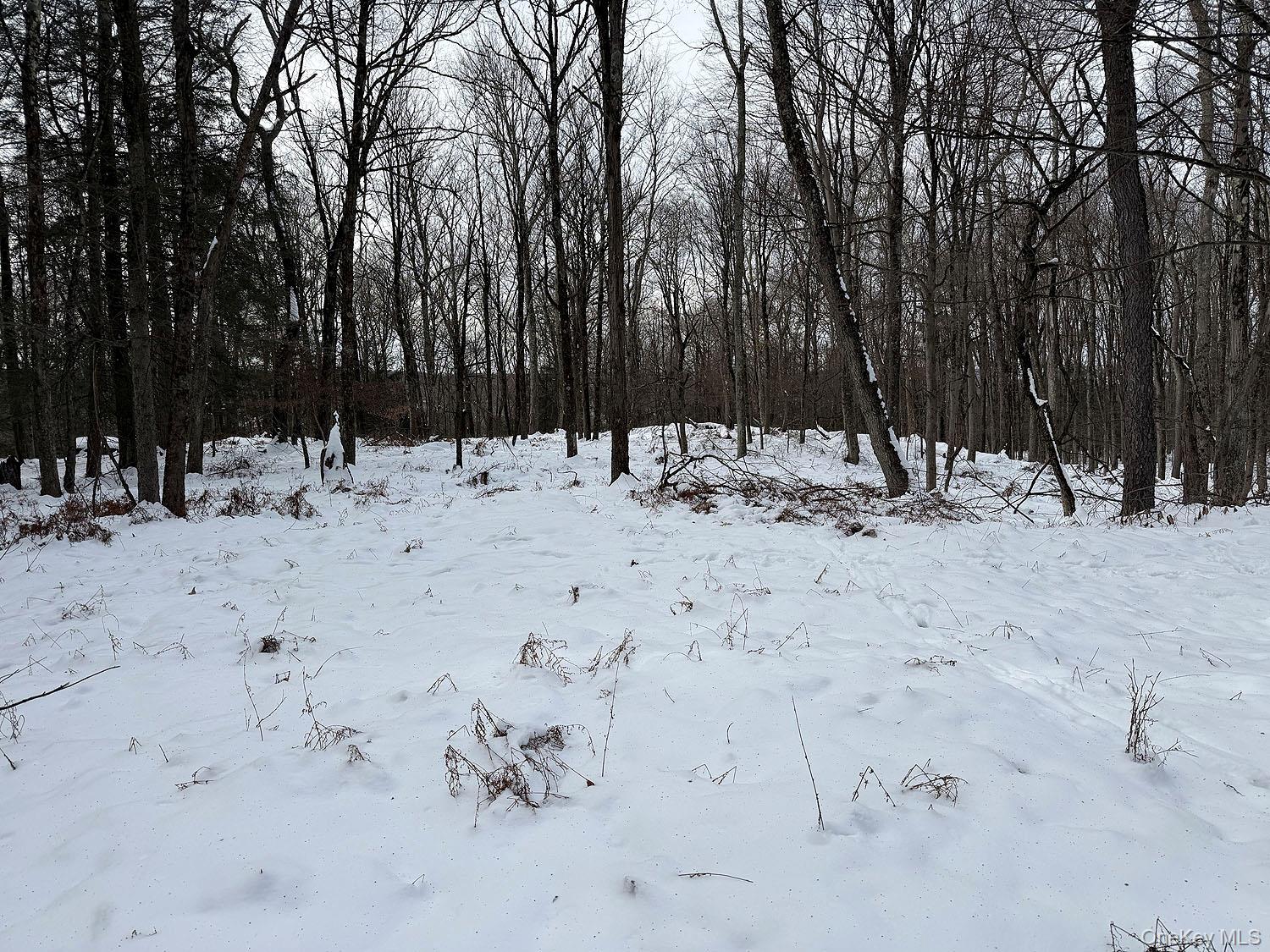 #17 photo, Lot 30 Kenoza Trail, Callicoon , NY 12723