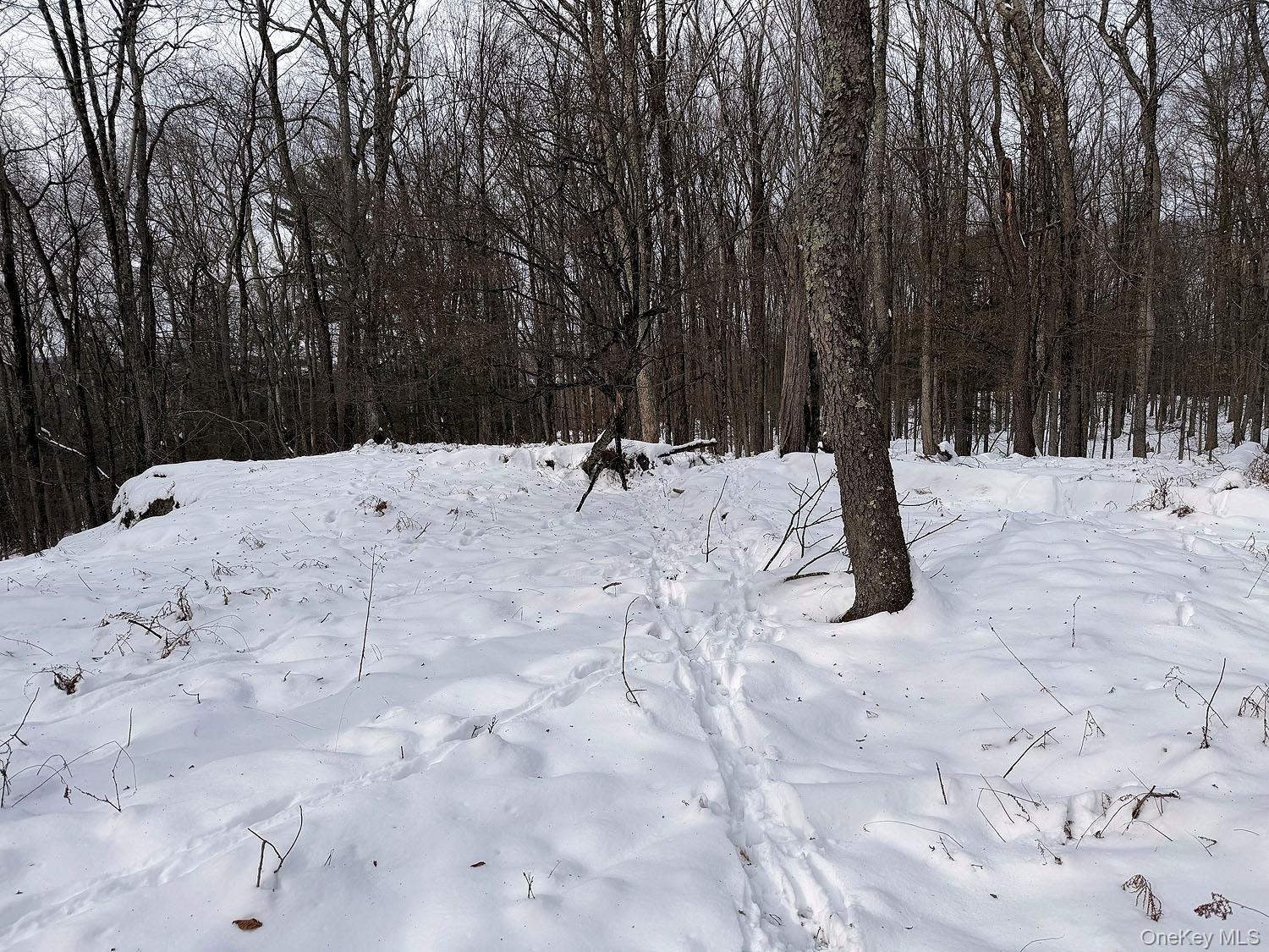 #19 photo, Lot 30 Kenoza Trail, Callicoon , NY 12723