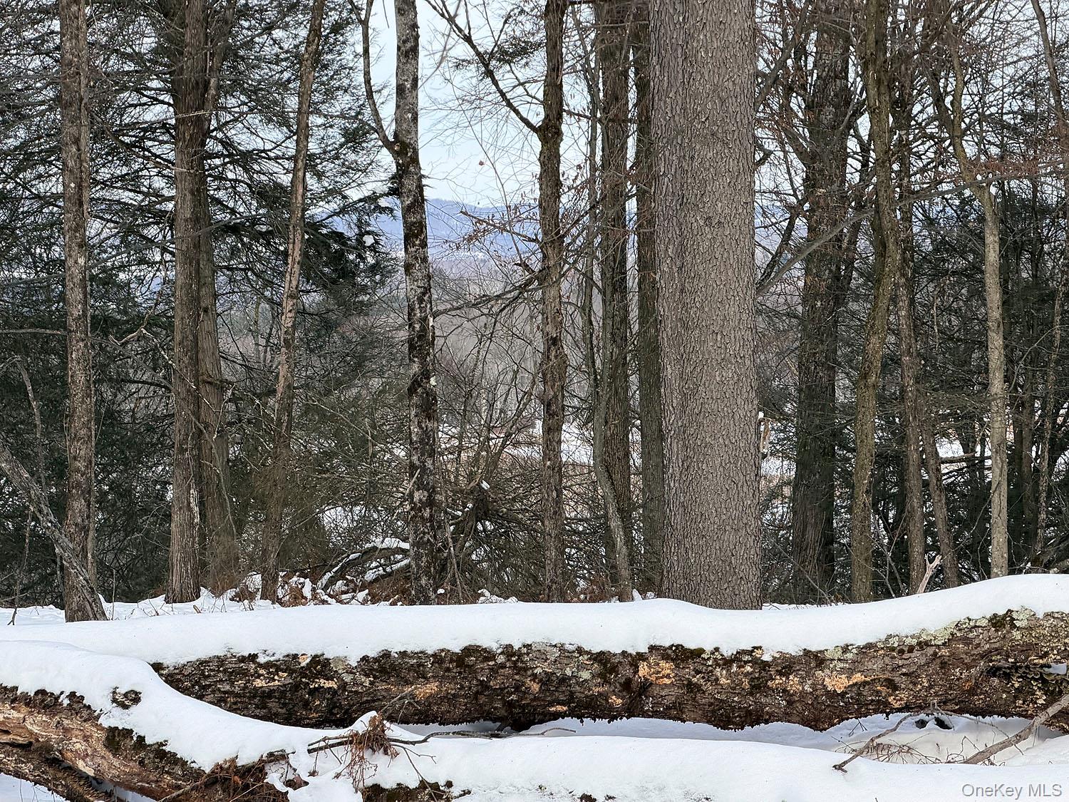 #4 photo, Lot 30 Kenoza Trail, Callicoon , NY 12723