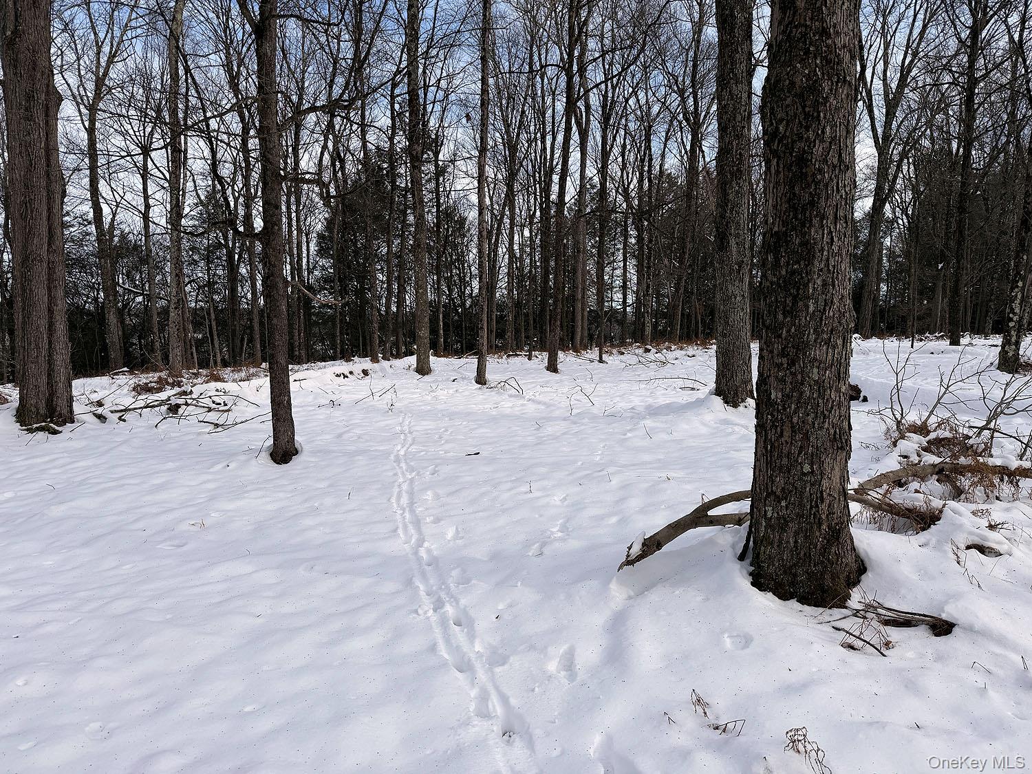 #5 photo, Lot 30 Kenoza Trail, Callicoon , NY 12723