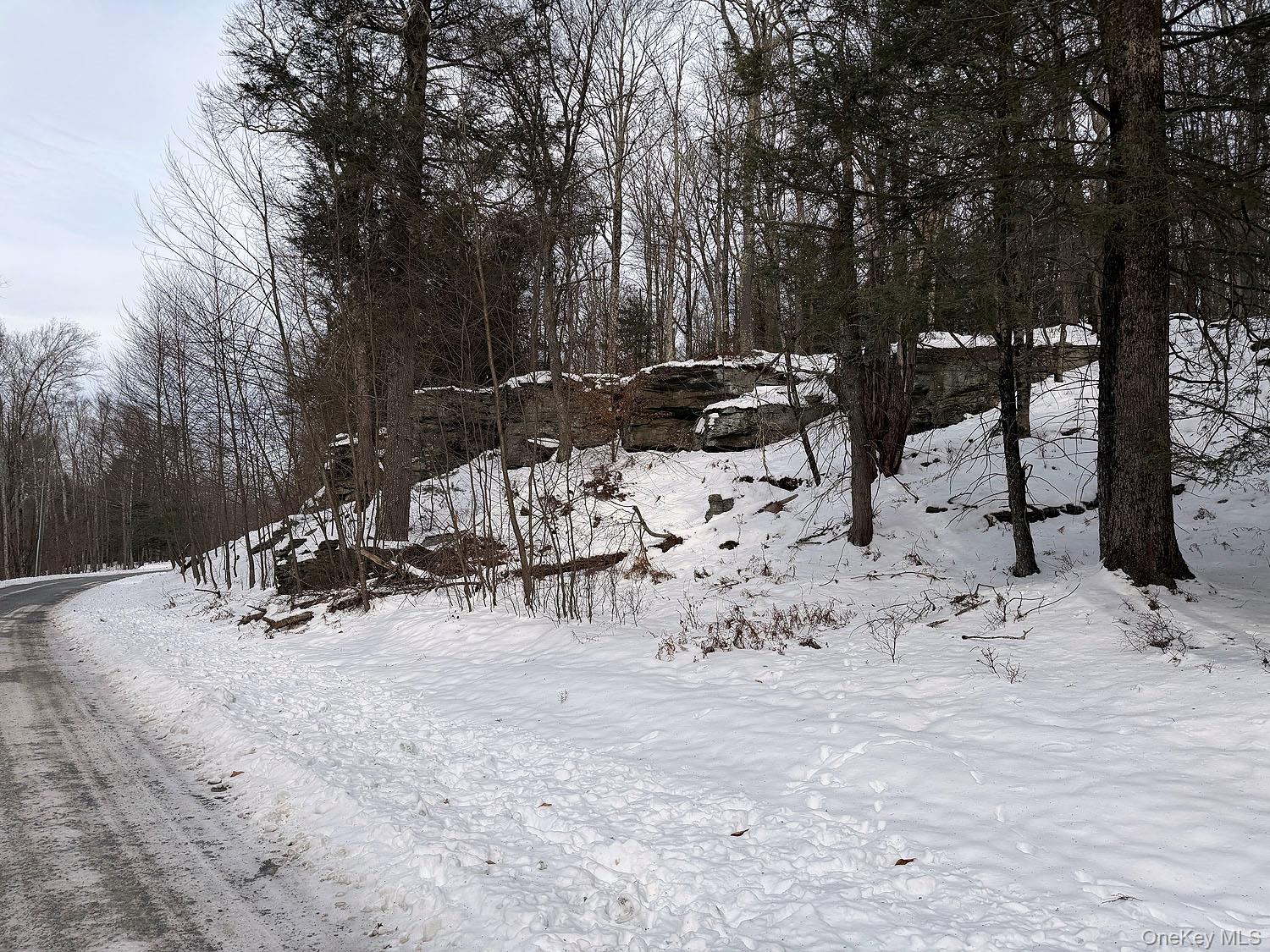 #9 photo, Lot 30 Kenoza Trail, Callicoon , NY 12723