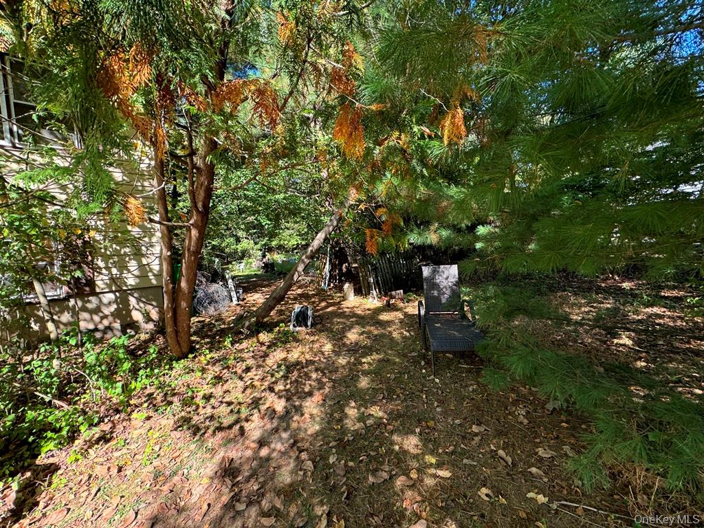 #4 photo, 125 Burrows Lane, Blauvelt , NY 10913