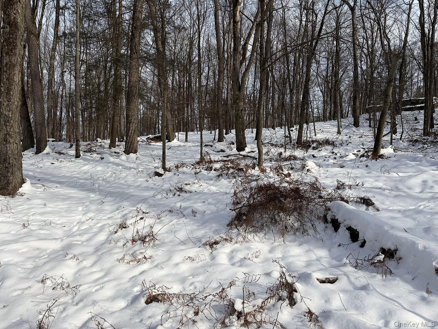 #10 photo, Lot 29 Kenoza Trail, Callicoon , NY 12723