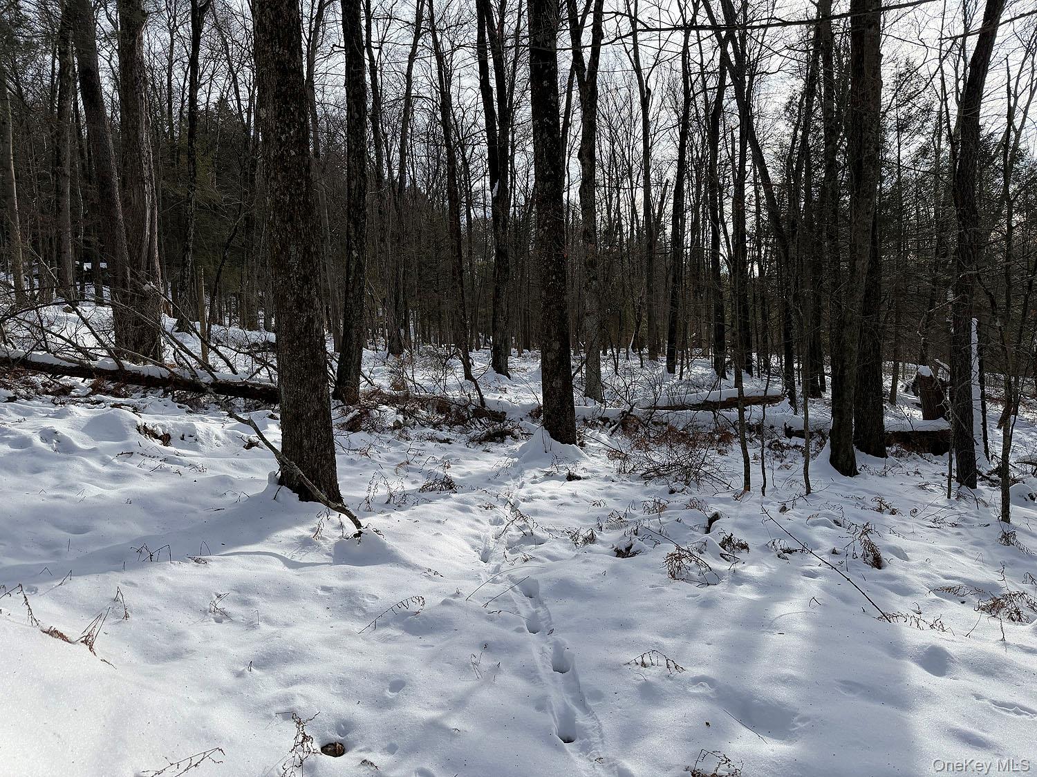 #11 photo, Lot 29 Kenoza Trail, Callicoon , NY 12723