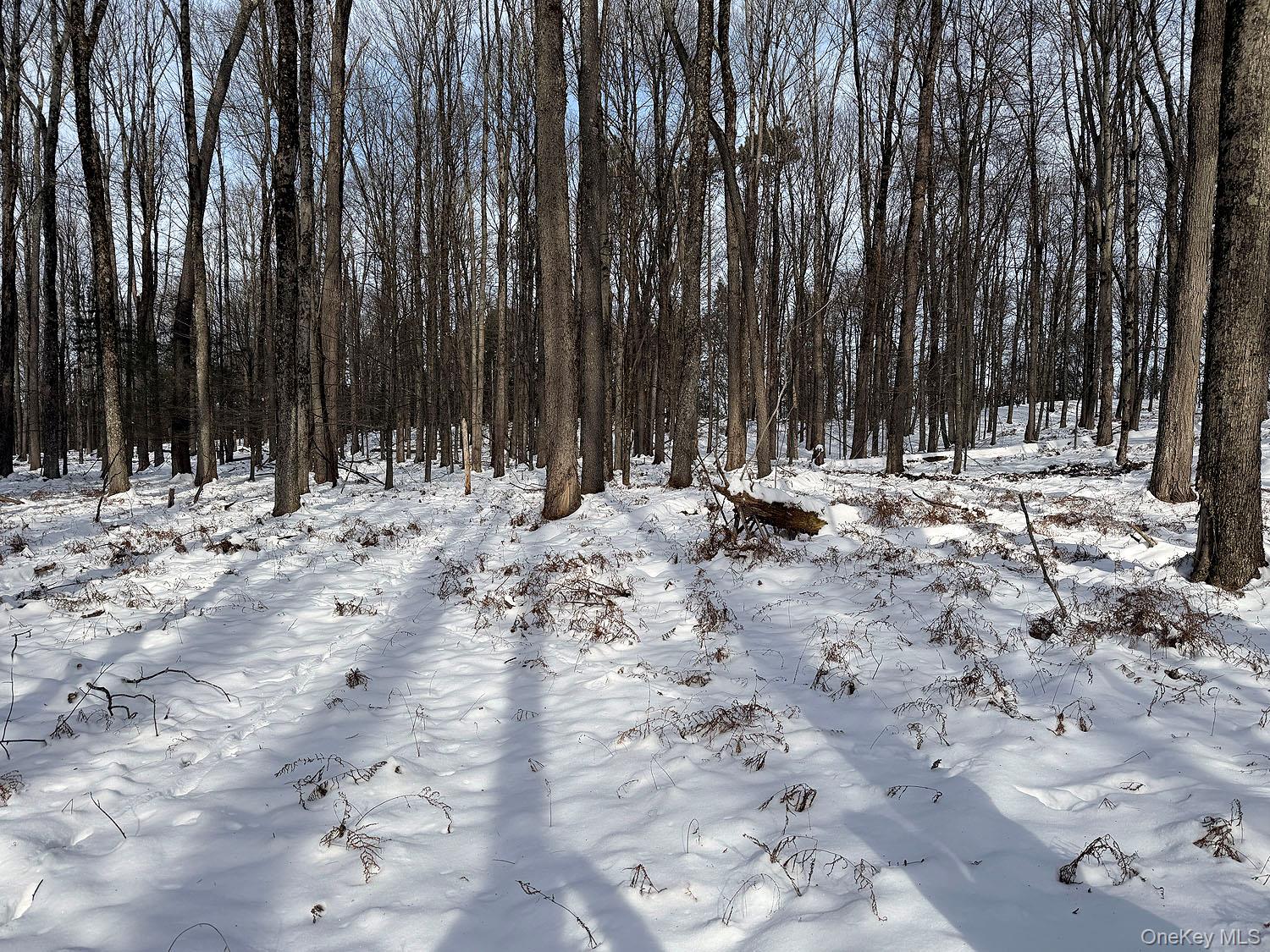 #13 photo, Lot 29 Kenoza Trail, Callicoon , NY 12723