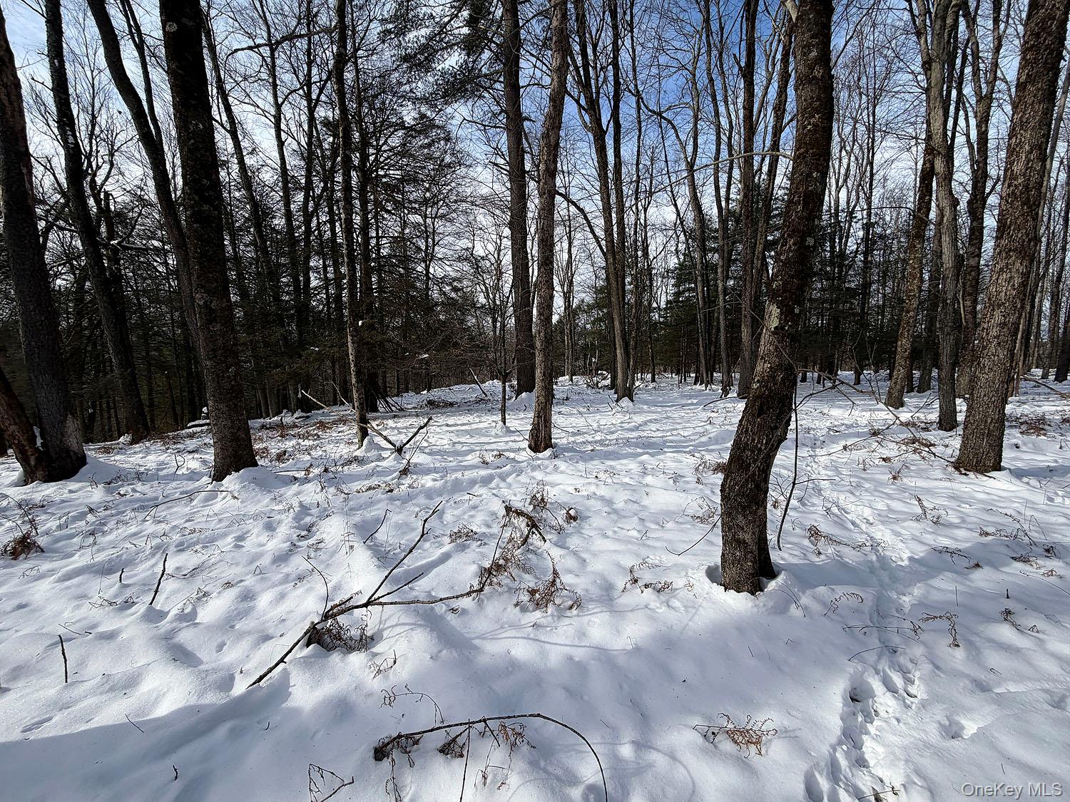 #14 photo, Lot 29 Kenoza Trail, Callicoon , NY 12723