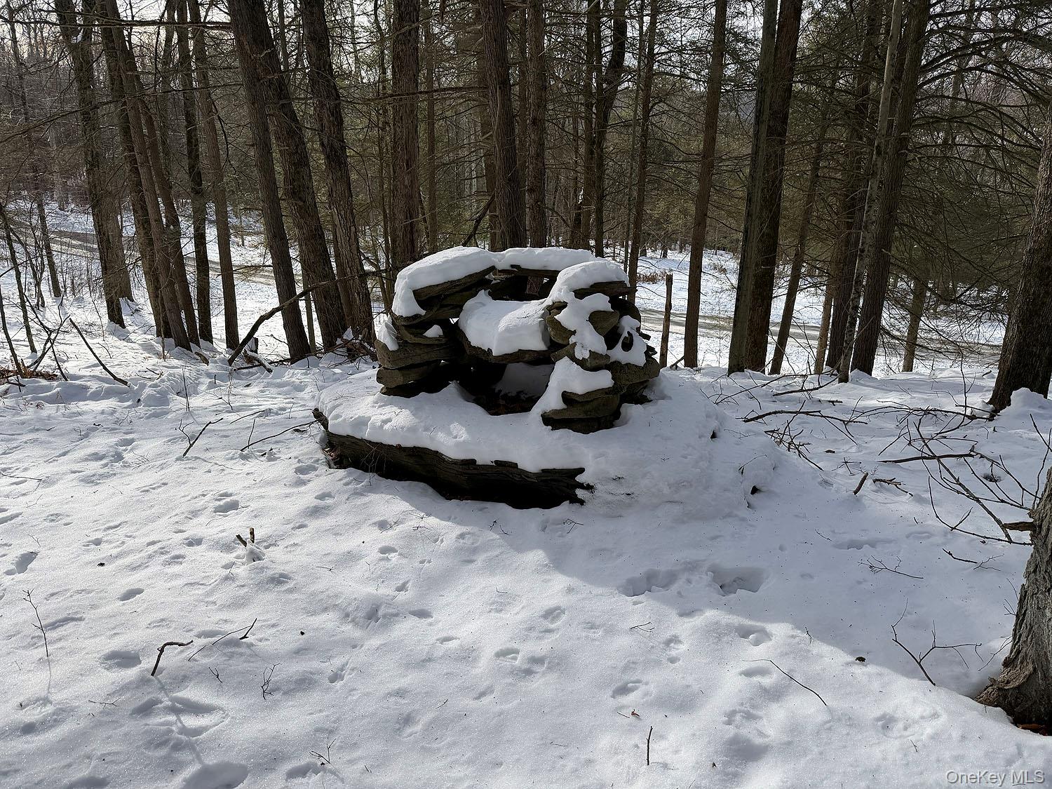 #15 photo, Lot 29 Kenoza Trail, Callicoon , NY 12723