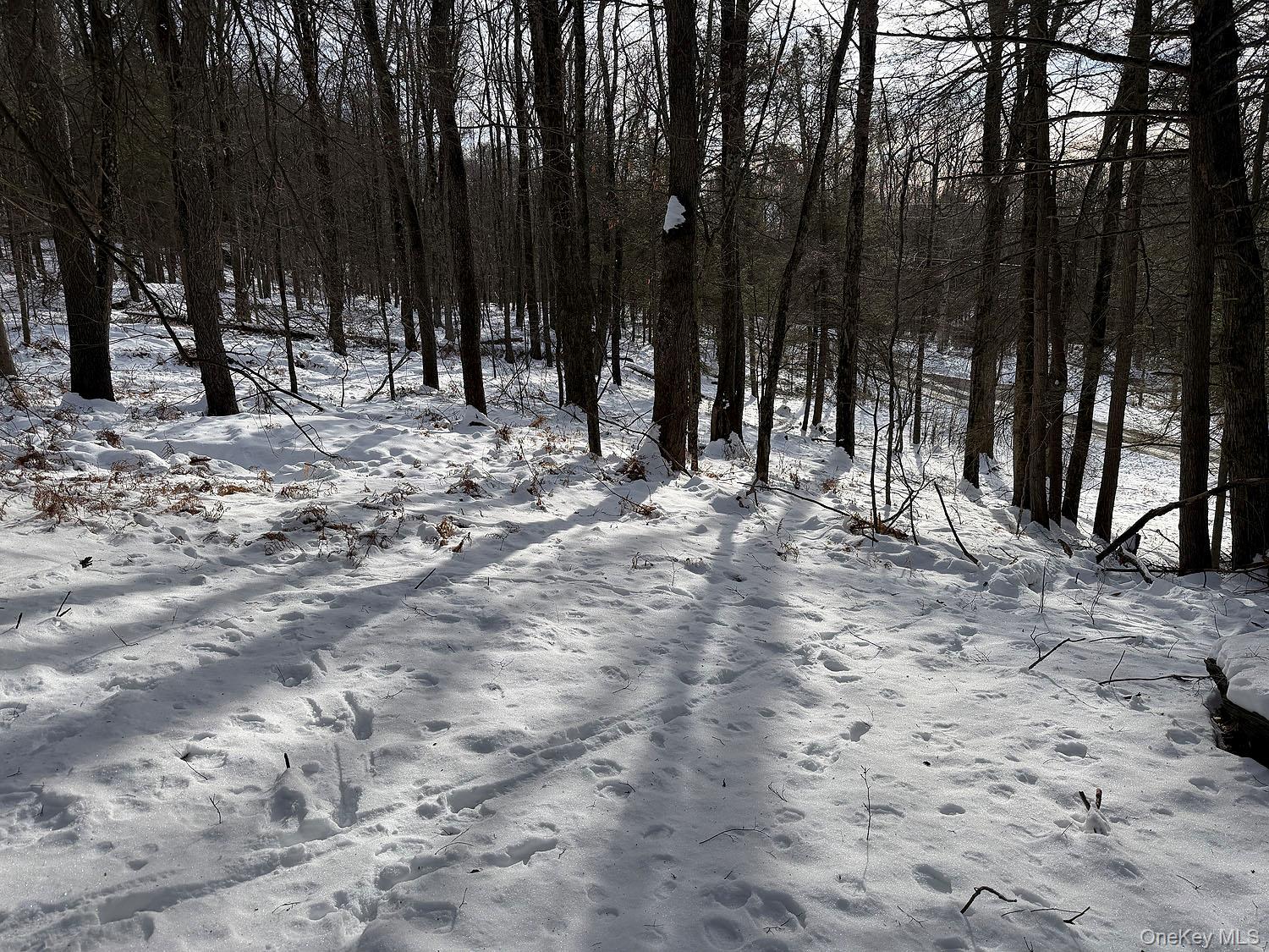 #16 photo, Lot 29 Kenoza Trail, Callicoon , NY 12723