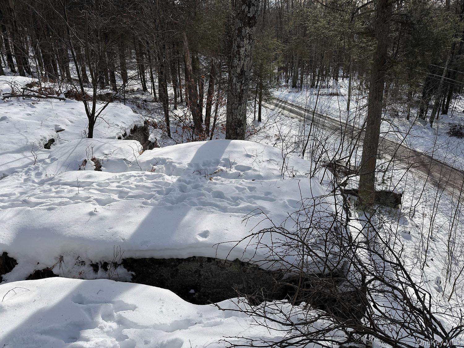 #17 photo, Lot 29 Kenoza Trail, Callicoon , NY 12723