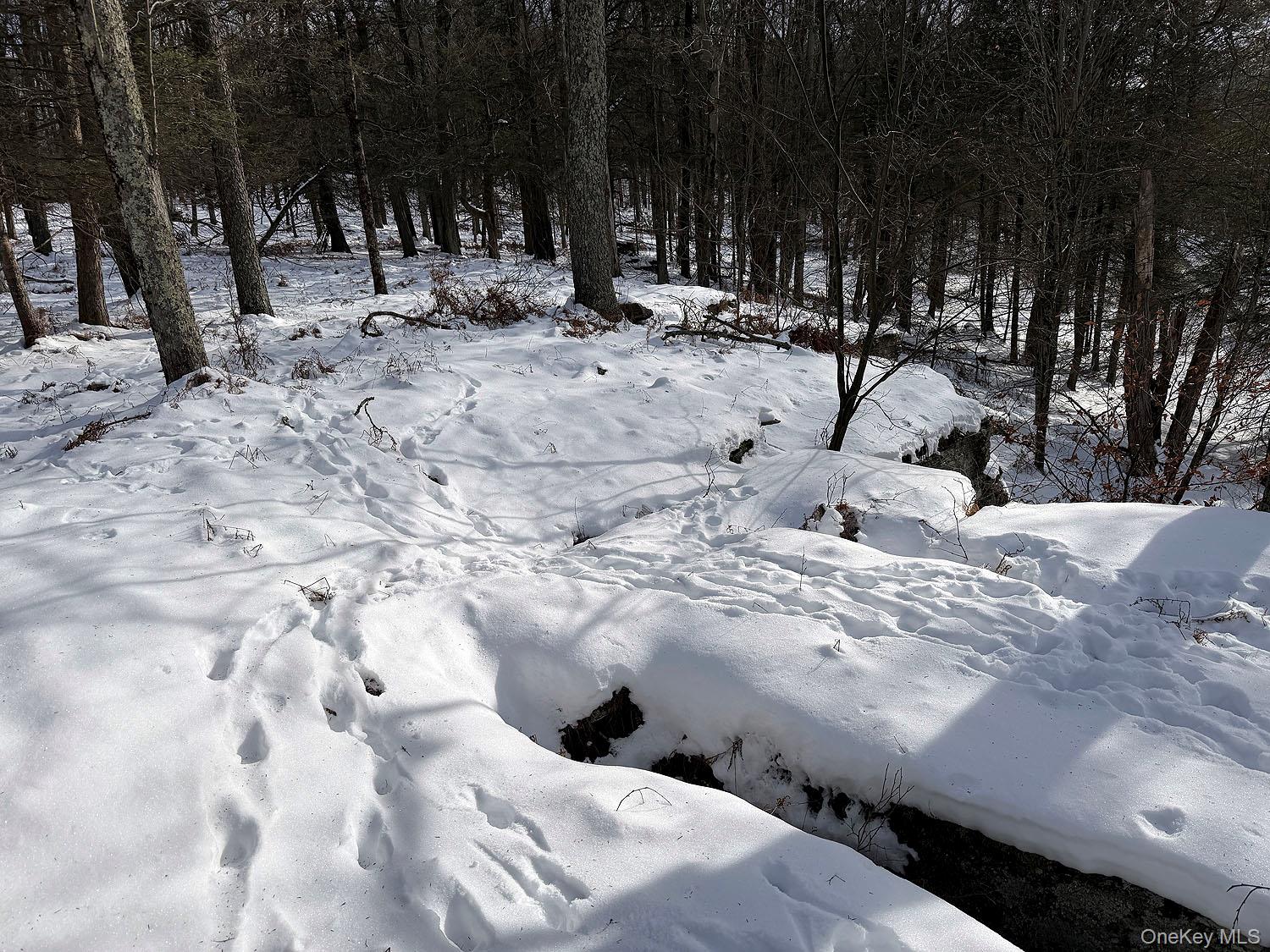 #18 photo, Lot 29 Kenoza Trail, Callicoon , NY 12723