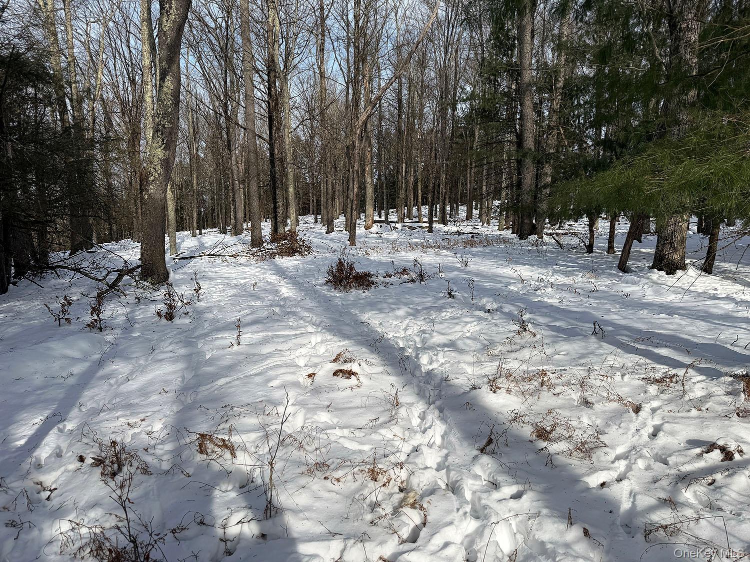 #19 photo, Lot 29 Kenoza Trail, Callicoon , NY 12723