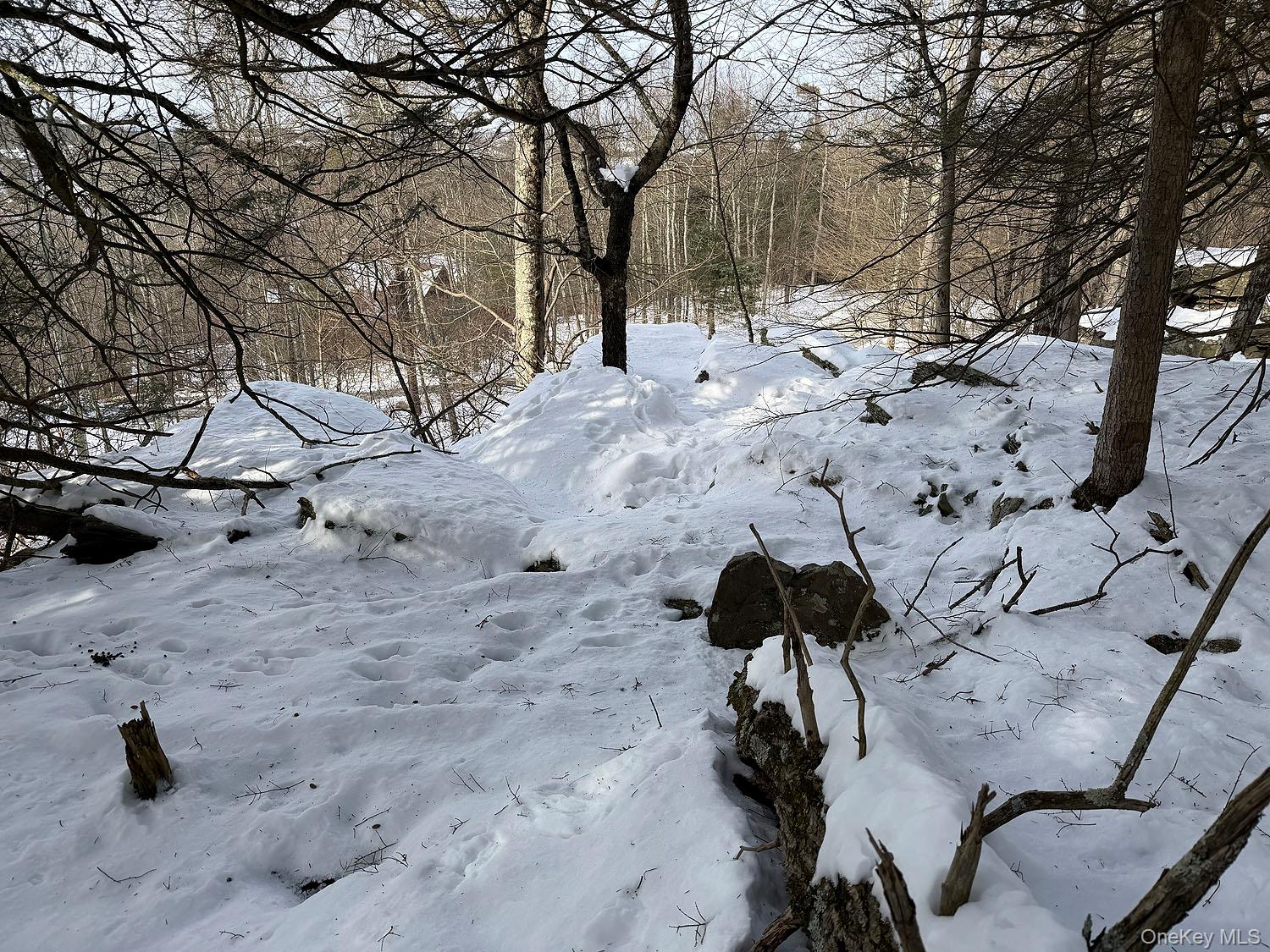 #20 photo, Lot 29 Kenoza Trail, Callicoon , NY 12723