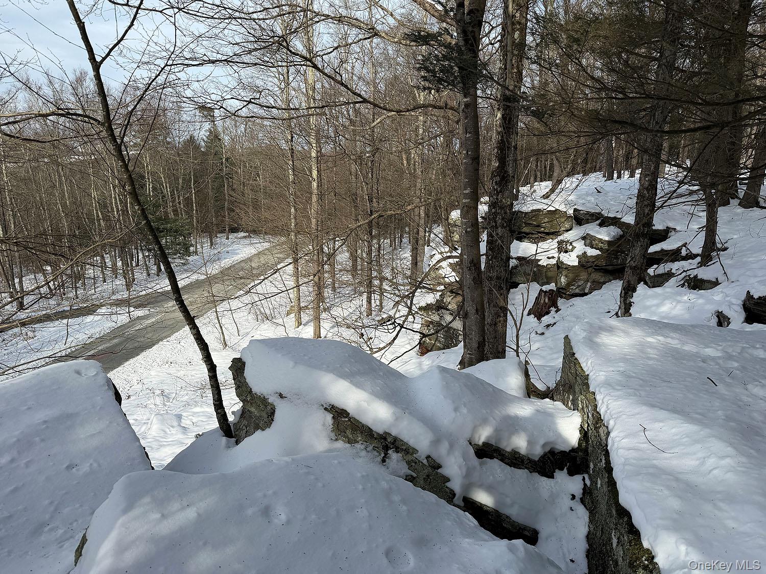 #4 photo, Lot 29 Kenoza Trail, Callicoon , NY 12723