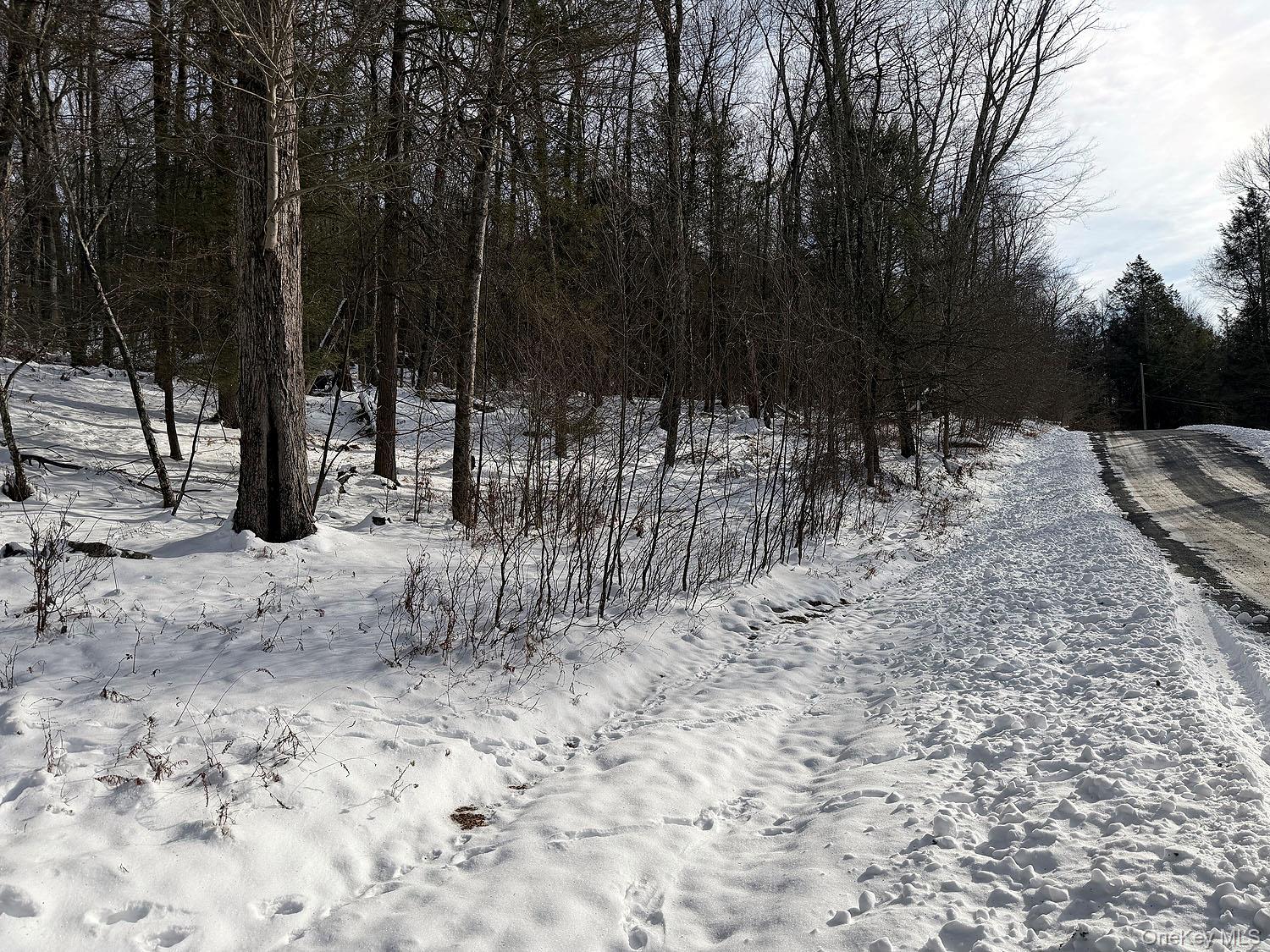 #6 photo, Lot 29 Kenoza Trail, Callicoon , NY 12723