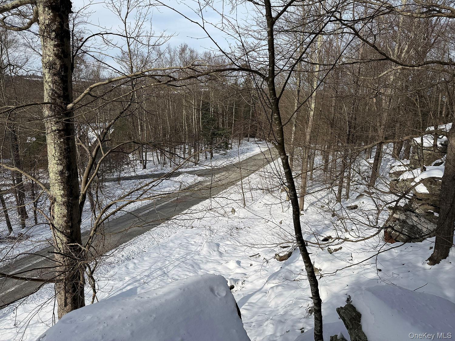 #7 photo, Lot 29 Kenoza Trail, Callicoon , NY 12723