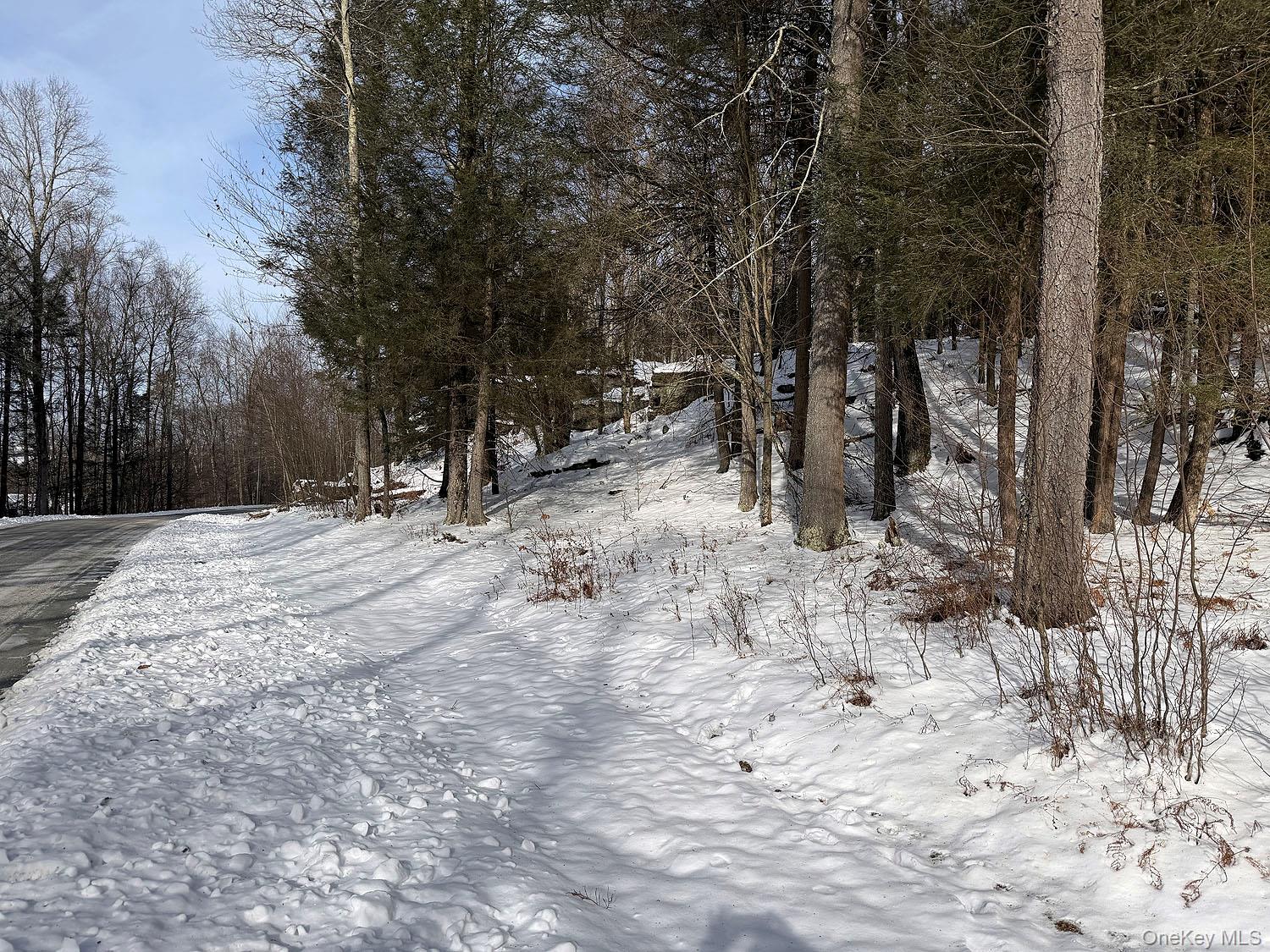 #8 photo, Lot 29 Kenoza Trail, Callicoon , NY 12723