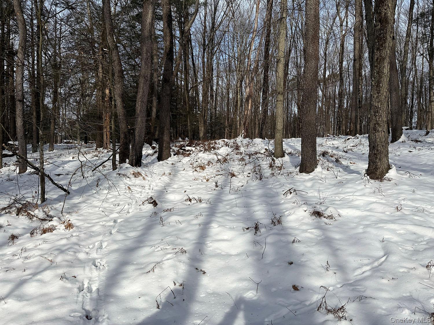 #9 photo, Lot 29 Kenoza Trail, Callicoon , NY 12723