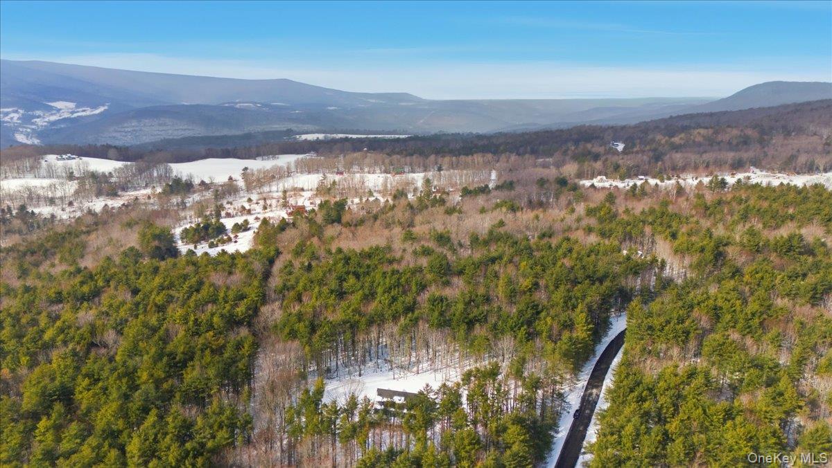 #10 photo, 196 Fawn Hill Road, Prattsville , NY 12452