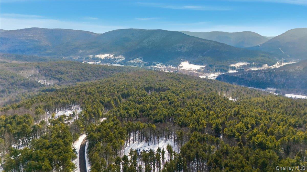 #11 photo, 196 Fawn Hill Road, Prattsville , NY 12452