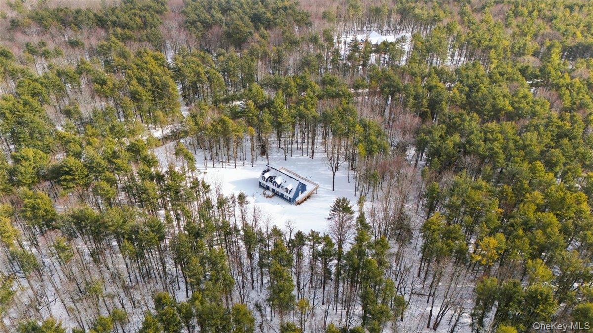 #8 photo, 196 Fawn Hill Road, Prattsville , NY 12452