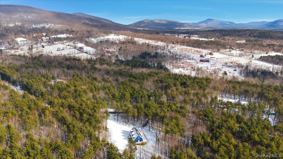 #9 photo, 196 Fawn Hill Road, Prattsville , NY 12452