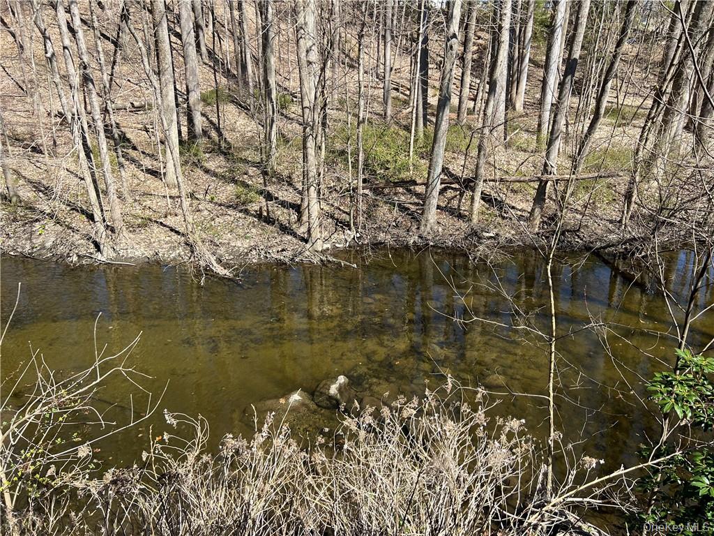 #20 photo, 189 Fair Street, Carmel , NY 10512