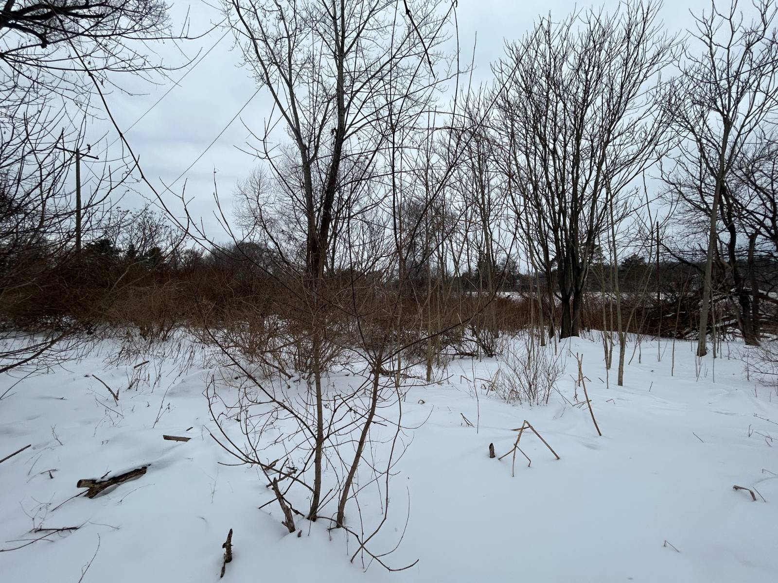 #7 photo, 3741 River Rd, Endicott , NY 13760