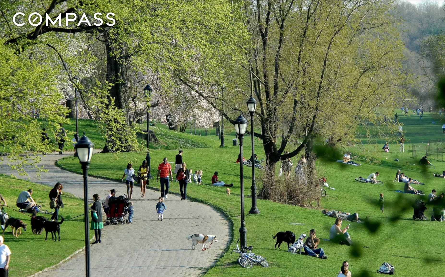 #13 photo, Brooklyn, Park Slope , NY 11215