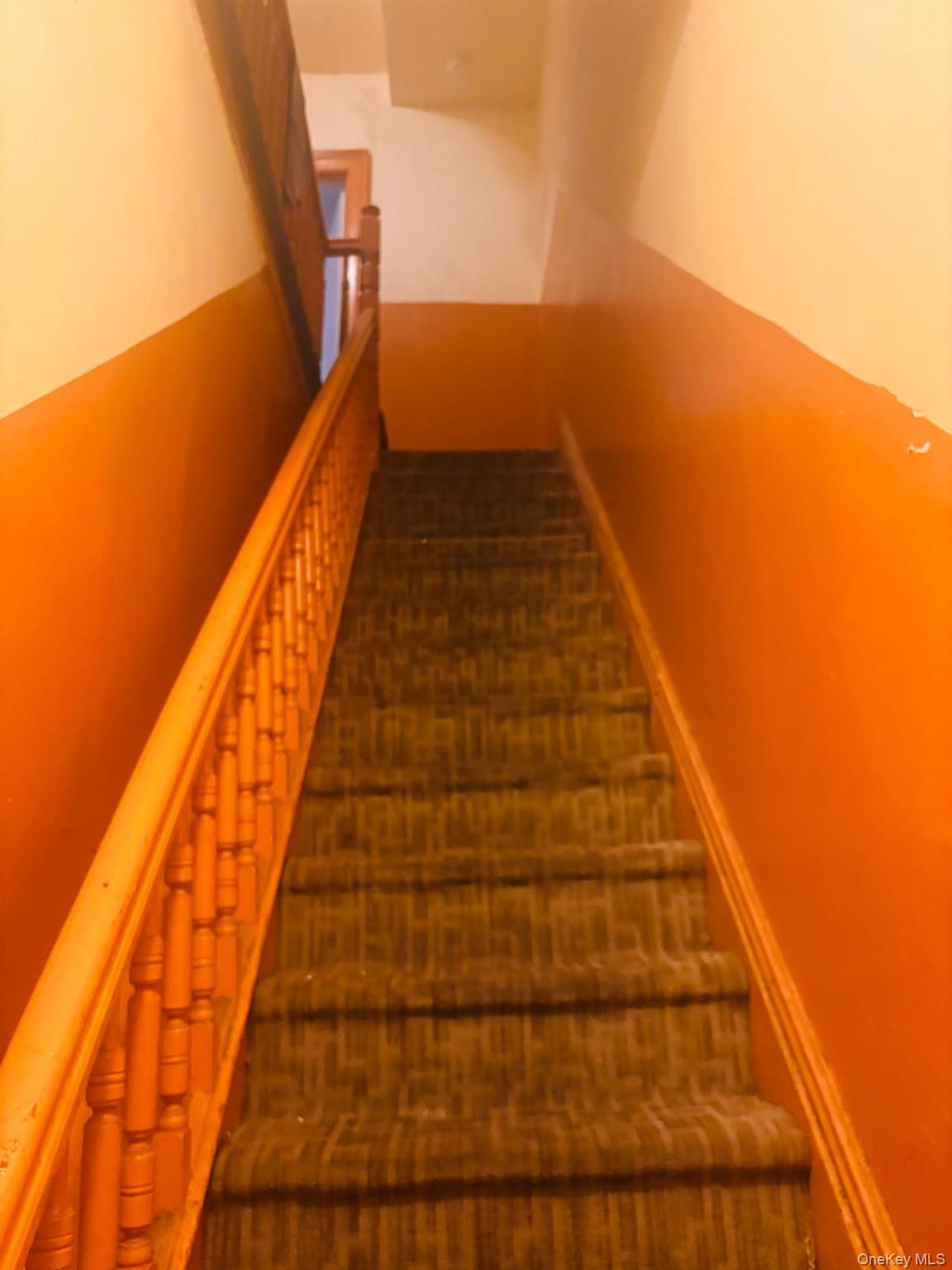 #11 photo, 8815 Jamaica Avenue, Woodhaven , NY 11421