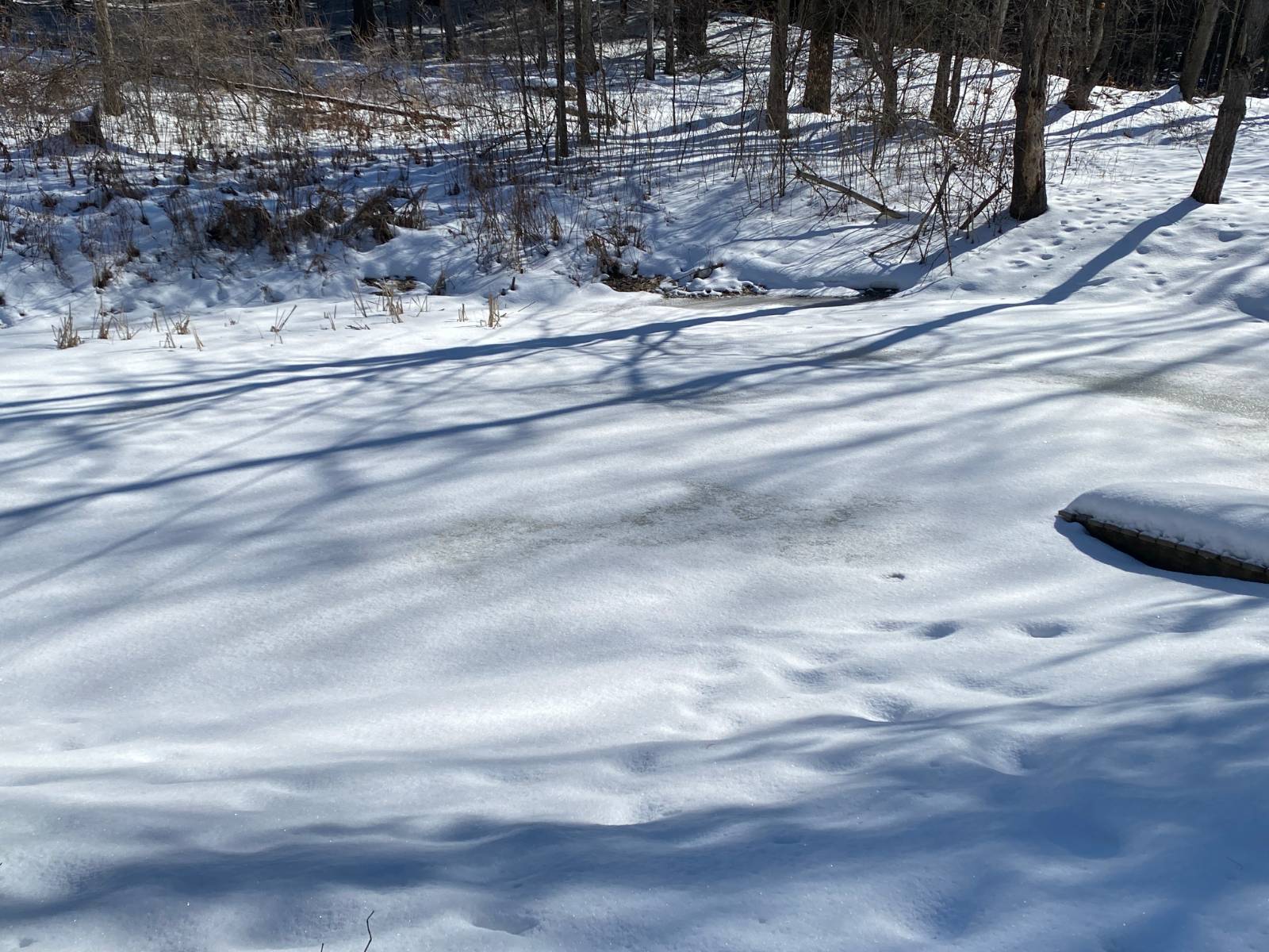 #29 photo, 362 Flax Island Rd, Otego , NY 13825