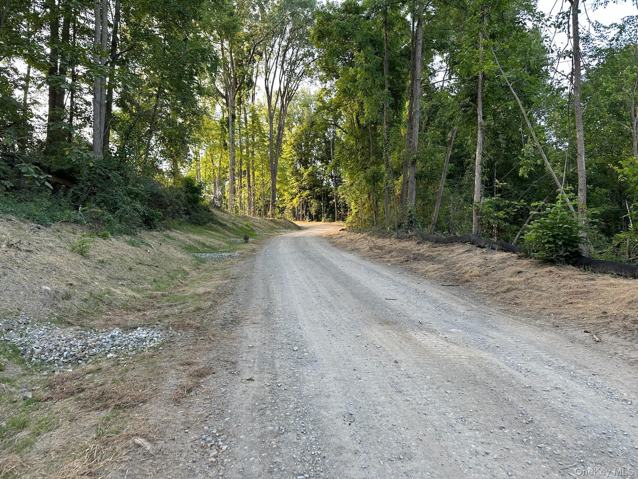 #15 photo, 49 Veterans Road, Call Listing Agent , NY 12883