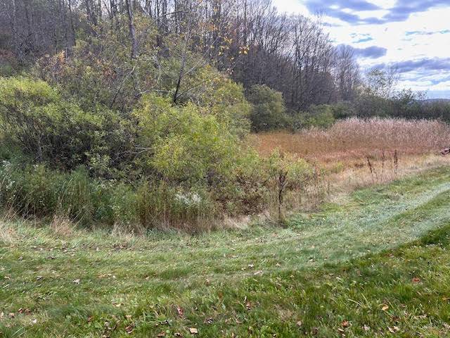 #13 photo, 480 County Highway 37,, Decatur , NY 12197