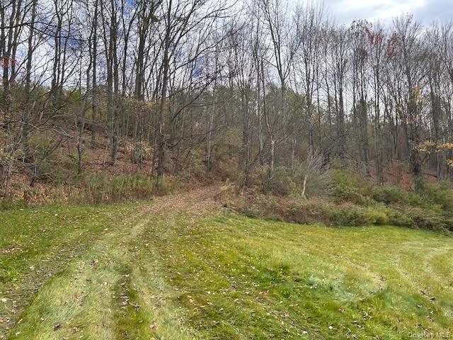 #16 photo, 480 County Highway 37 County Highway 37 Highway, 纽约州 Call Listing Agent , NY 12197