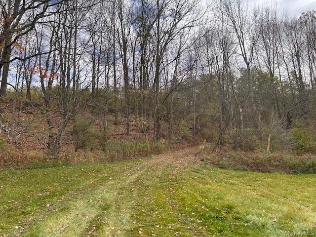 #17 photo, 480 County Highway 37 County Highway 37 Highway, 纽约州 Call Listing Agent , NY 12197