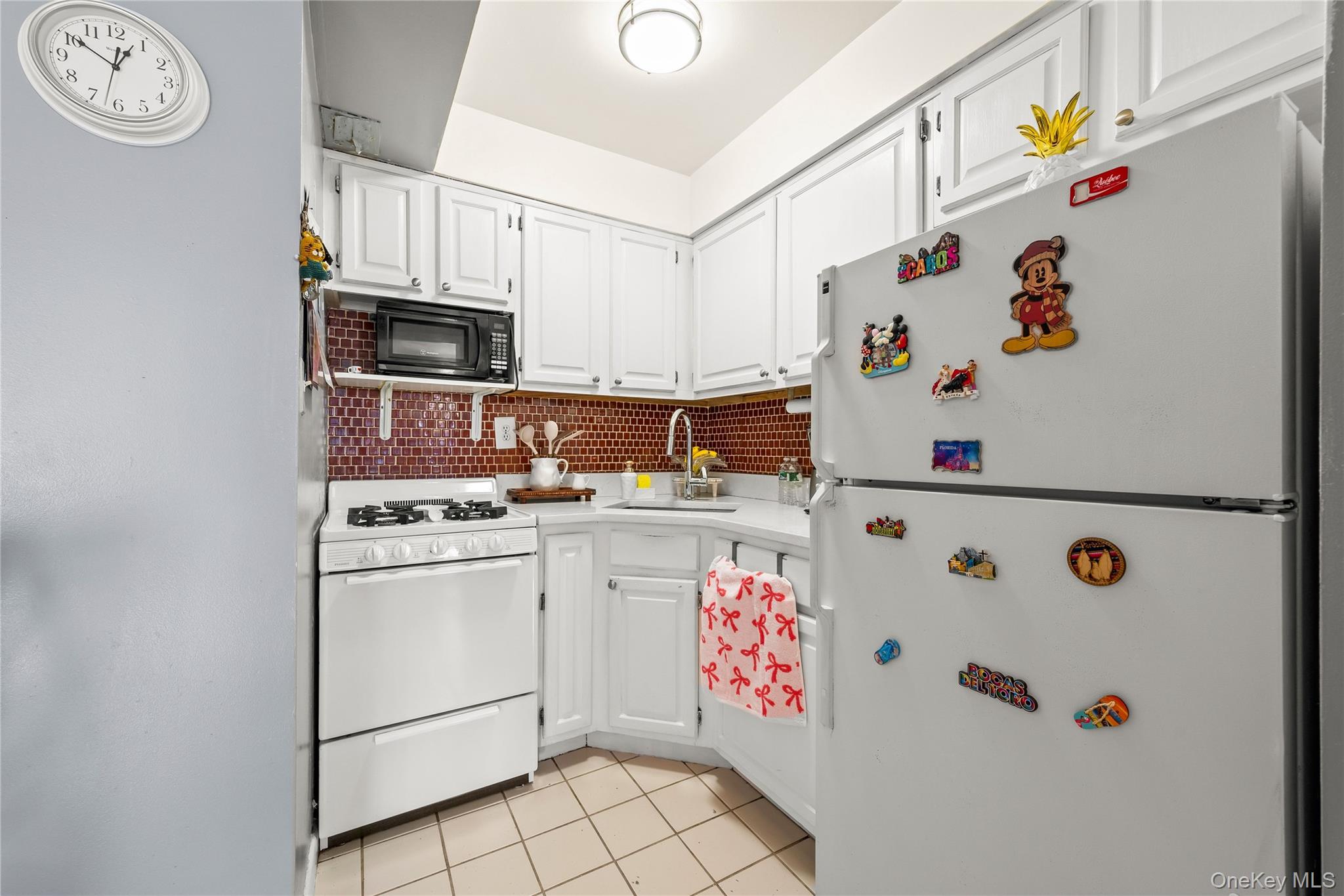 #10 photo, 5609 van cleef, Corona , NY 11368