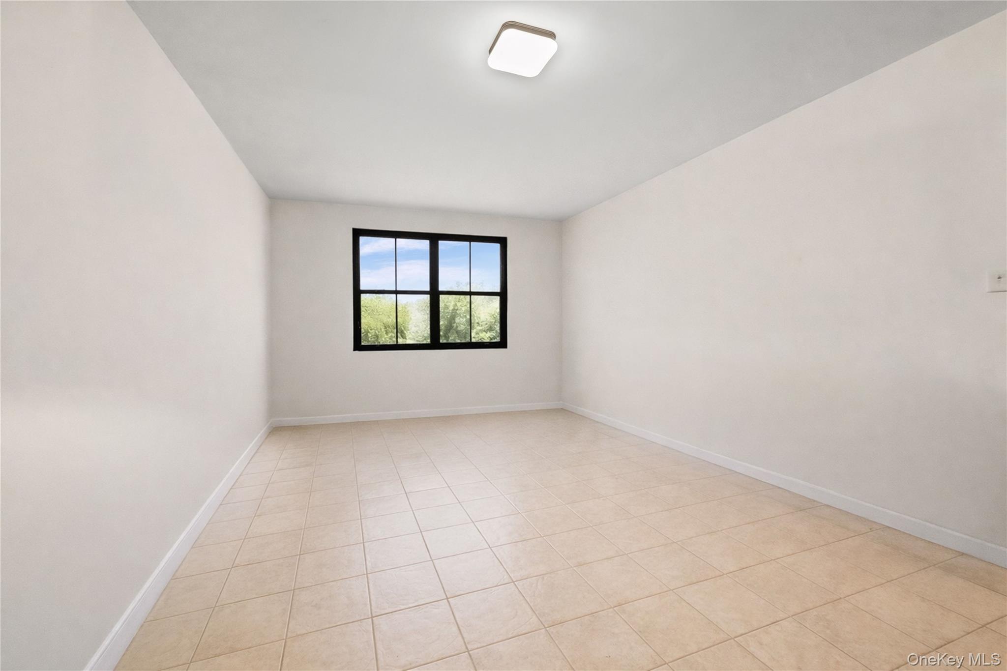 #20 photo, 5609 van cleef, Corona , NY 11368