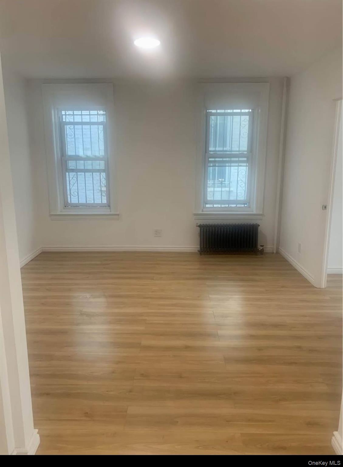 #2 photo, 159 E 93rd Street, Brooklyn , NY 11226