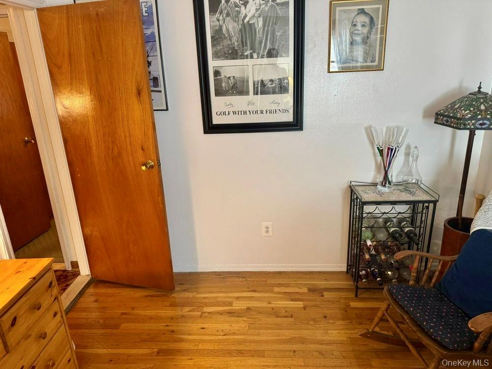 #9 photo, 77 Lucille Avenue, Elmont , NY 11003