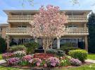 490 Atlantic Avenue #115 长岛 East Rockaway, NY