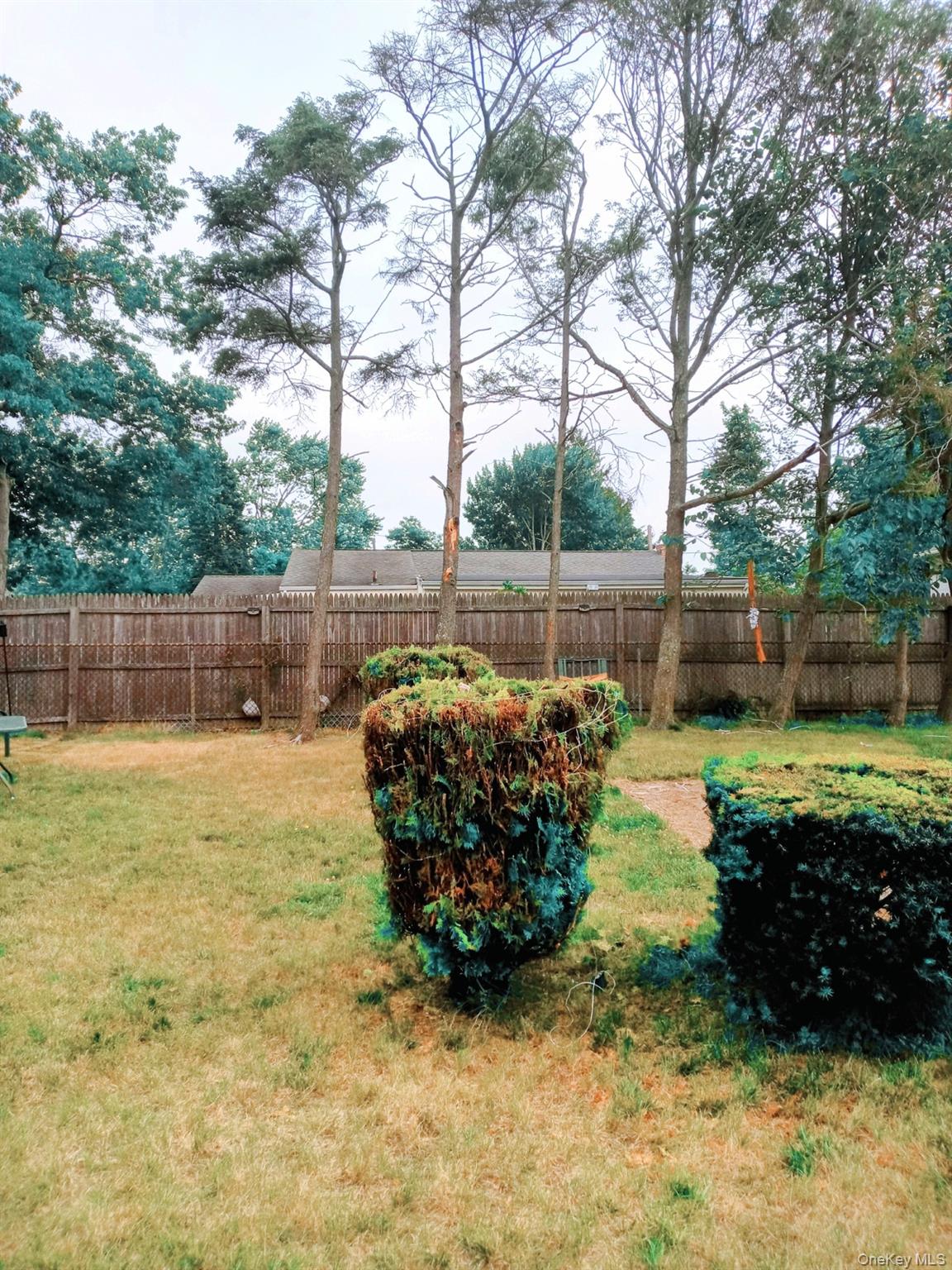 #13 photo, 161 Wurz Street, Brentwood , NY 11717