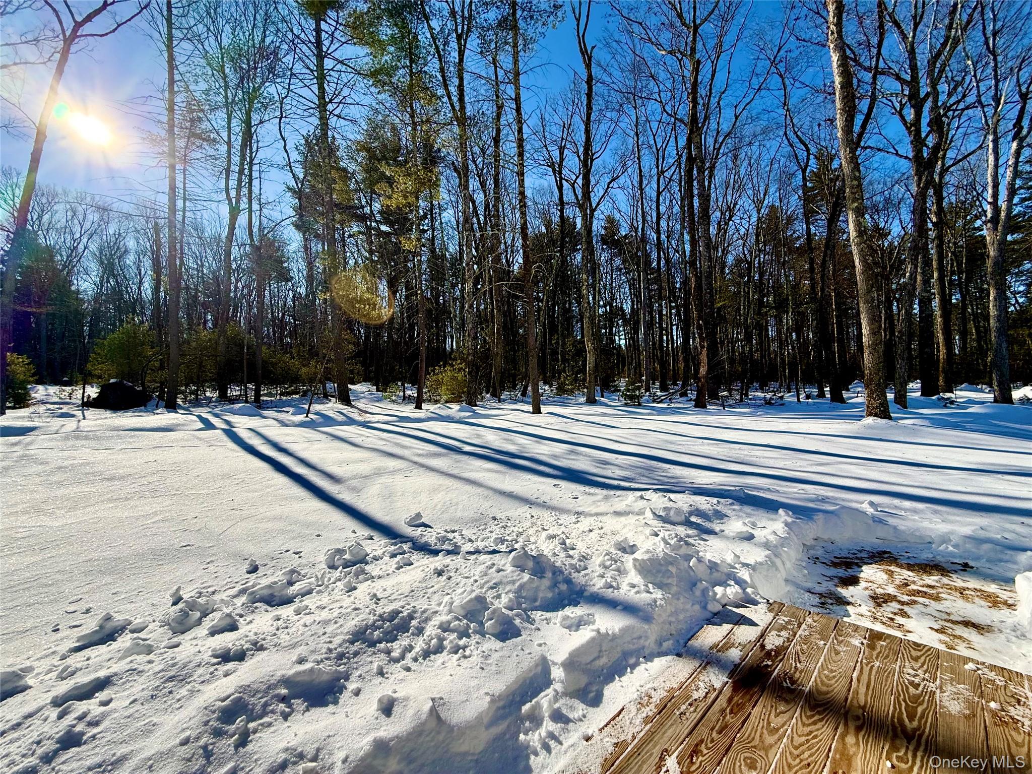 #11 photo, 16 Leers Road, Glen Spey , NY 12737