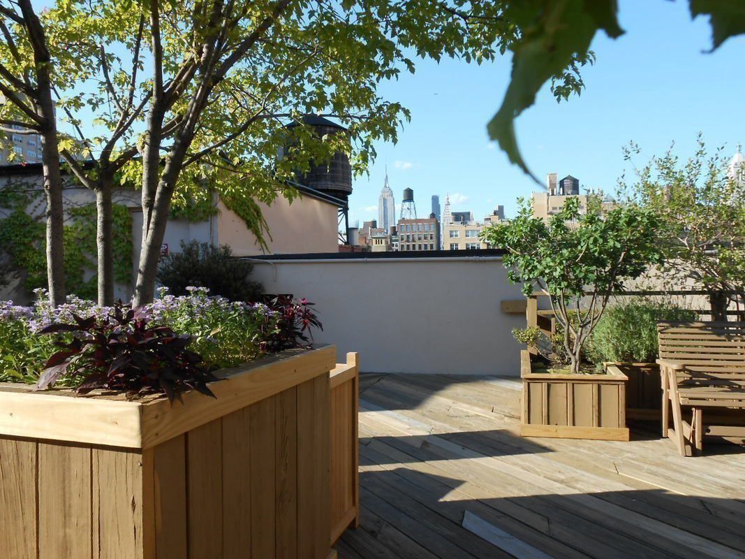 #8 photo, 23 Waverly Place, Greenwich Village , NY 10003