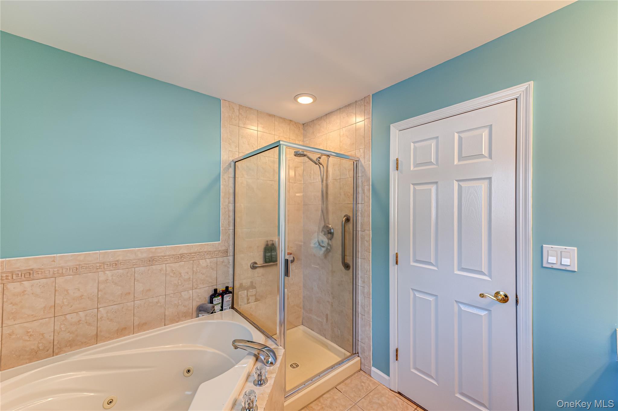 #19 photo, 166 Grassy Pond Drive, Smithtown , NY 11787